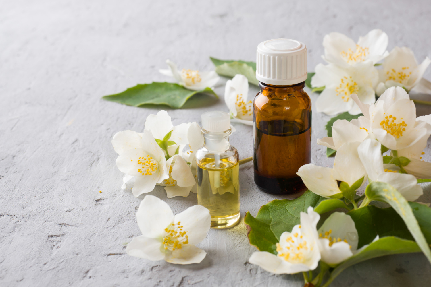oil-jasmine-aromatherapy-with-jasmine-oil-jasmine-flowers