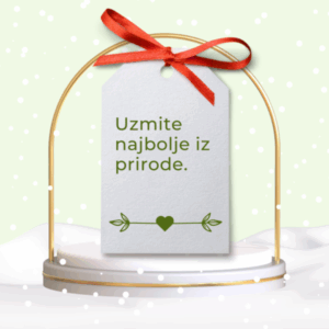 Poklon za Novu godinu